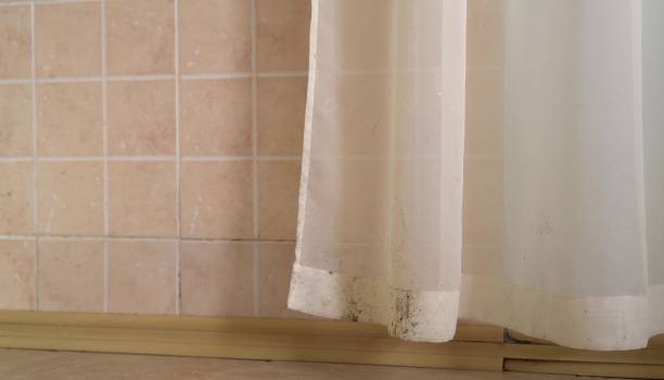 Best Commercial Mold Inspection  in Jamestown, NC