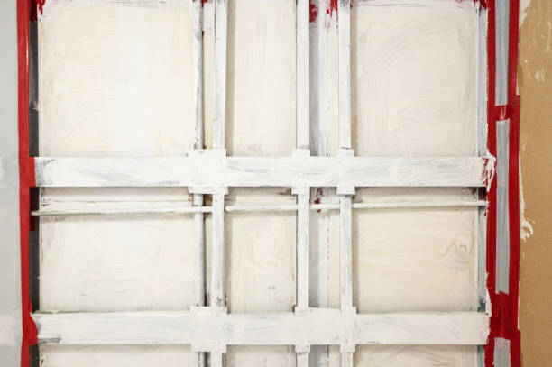Best Asbestos and Lead Testing During Mold Inspection  in Jamestown, NC