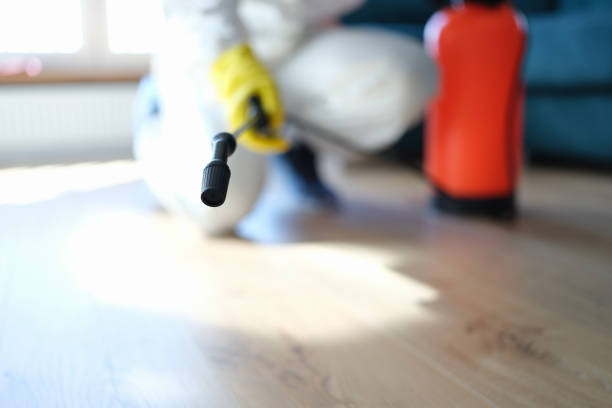 Best Attic Mold Removal  in Jamestown, NC