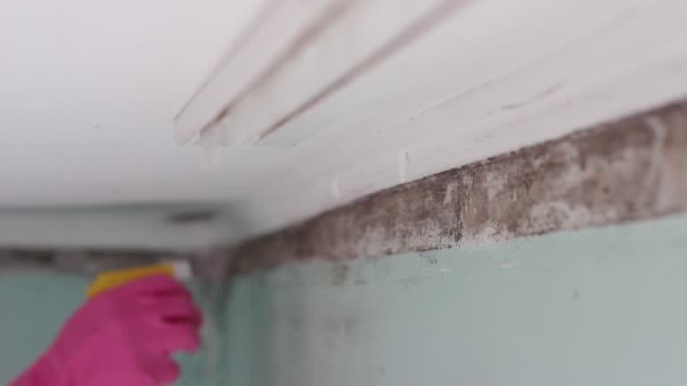 Best Air Quality Testing for Mold Spores  in Jamestown, NC
